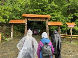 5036398551174616661132947182786700832958687n